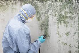 Best Emergency Mold Remediation  in Caddo Mills, TX